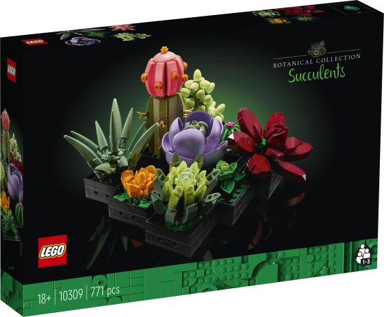 LEGO 10309 - Botanicals Succulents - 401958010309 - crystallotus.eu
