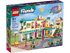 LEGO 41731 - Friends Heartlake International School - 5702017415178 - crystallotus.eu