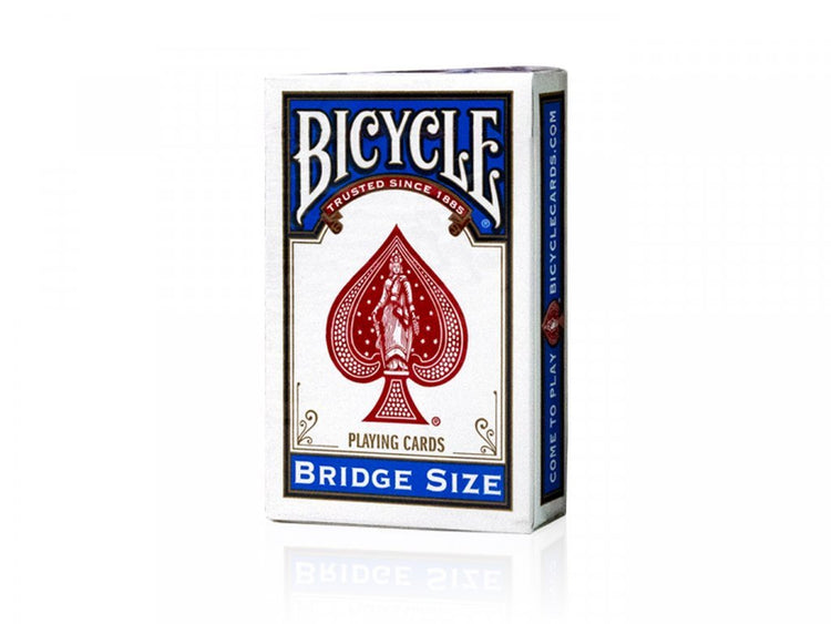 Bicycle Bridge Rider Back (blue) - 073854000861 - CrystalLotus.eu