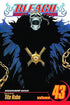 Bleach, Volume 43 of 74 (by Tite Kubo) - 9781421542966 - Crystal Lotus