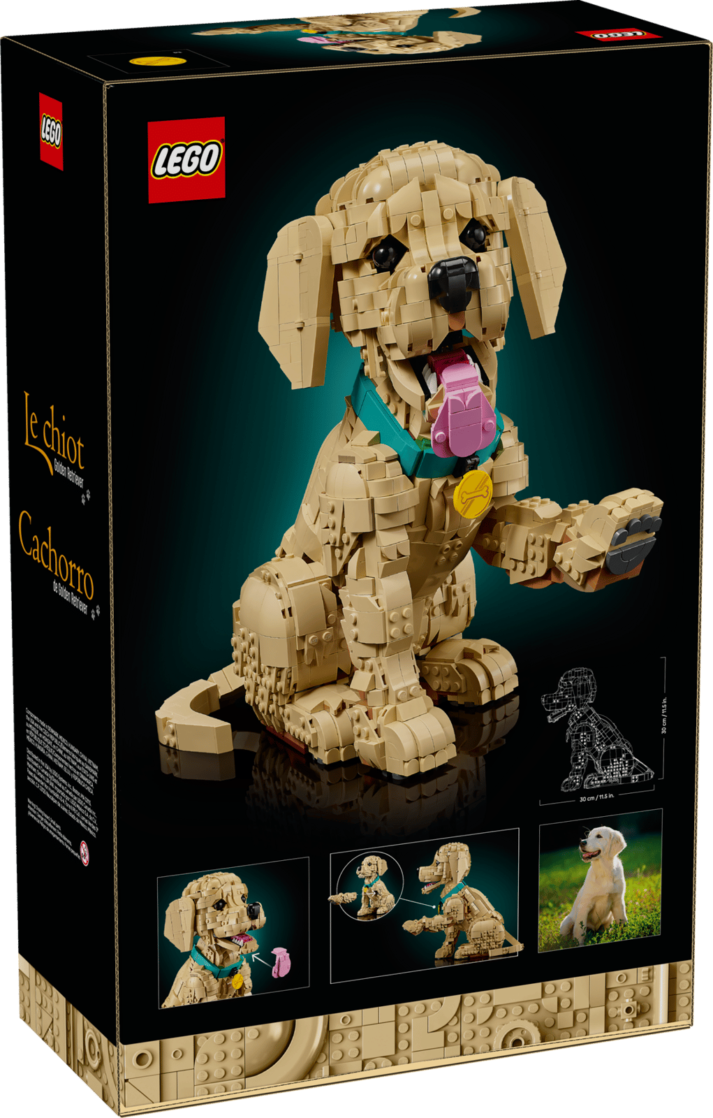 LEGO 11384 - Icons Golden Retriever Puppy - 5702018063651 - crystallotus.eu