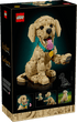 LEGO 11384 - Icons Golden Retriever Puppy - 5702018063651 - crystallotus.eu