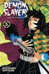 Demon Slayer kimetsu No Yaiba Vol. 05 - 9781974700561 - CrystalLotus.eu