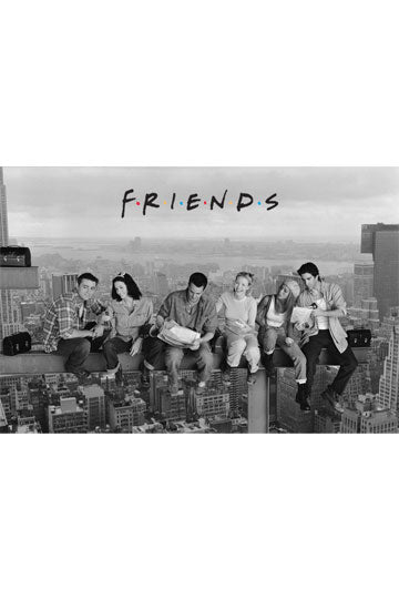 Friends Poster Skyscraper 61 x 91 cm - 5050574307420 - CrystalLotus.eu