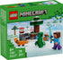 LEGO 21583 - Minecraft Steve&