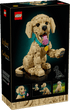LEGO 11384 - Icons Golden Retriever Puppy - 5702018063651 - Crystal Lotus