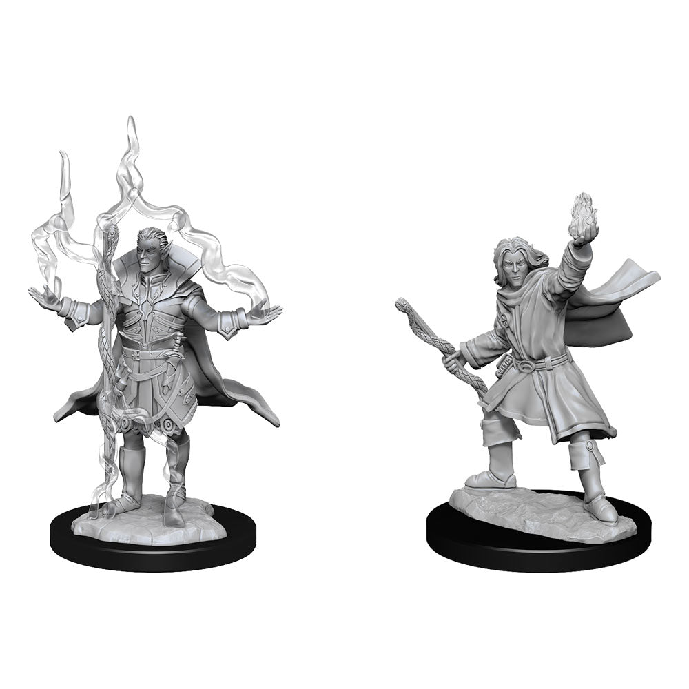 Pathfinder Battles Deep Cuts Unpainted Miniatures Elf Sorcerer Male - 634482902622 - CrystalLotus.eu