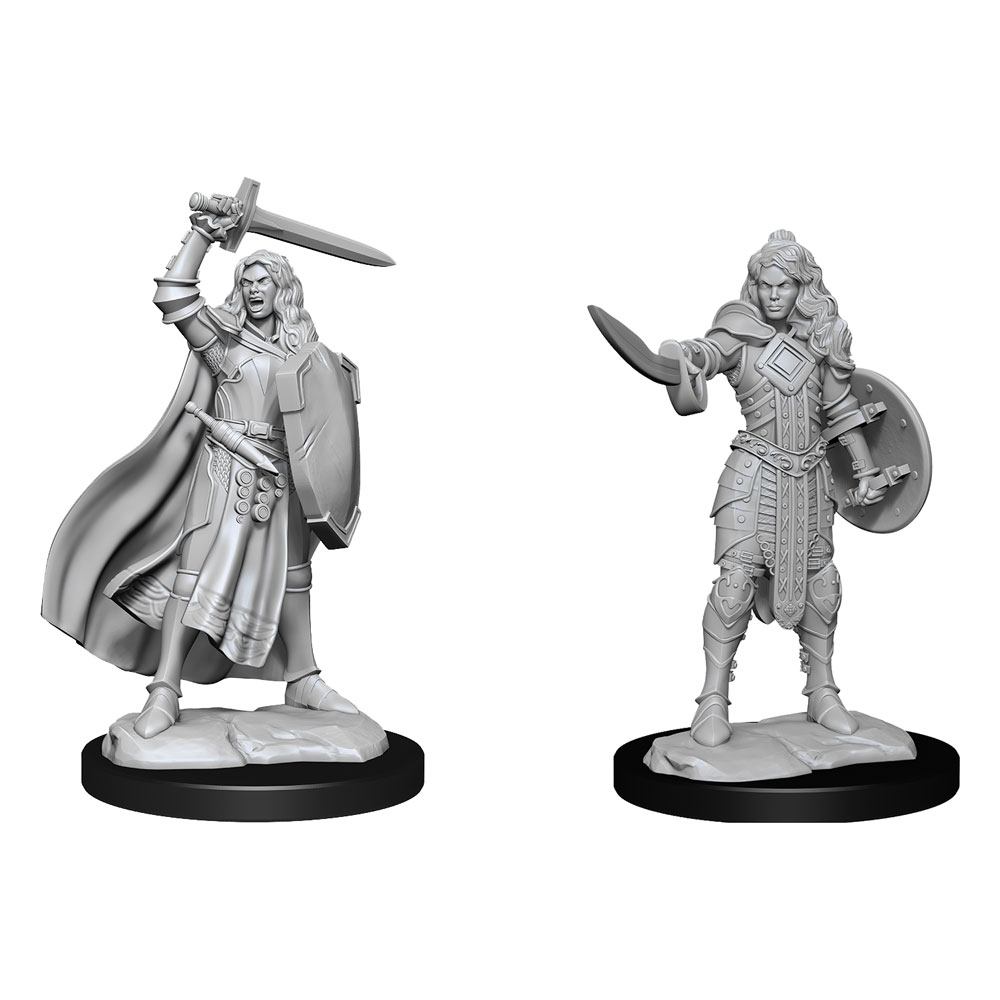 Pathfinder Battles Deep Cuts Unpainted Miniatures Human Champion Female - 634482902646 - CrystalLotus.eu