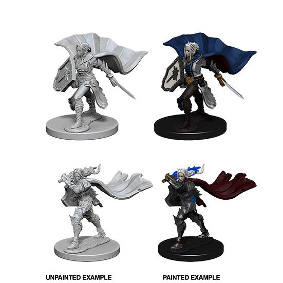 Pathfinder Deep Cuts Unpainted Miniatures: Elf Female Paladin - WAVE 4 - 634482726099 - CrystalLotus.eu