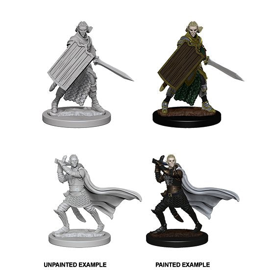 Pathfinder Deep Cuts Unpainted Miniatures: Elf Male Paladin - WAVE 2 - 634482726082 - CrystalLotus.eu