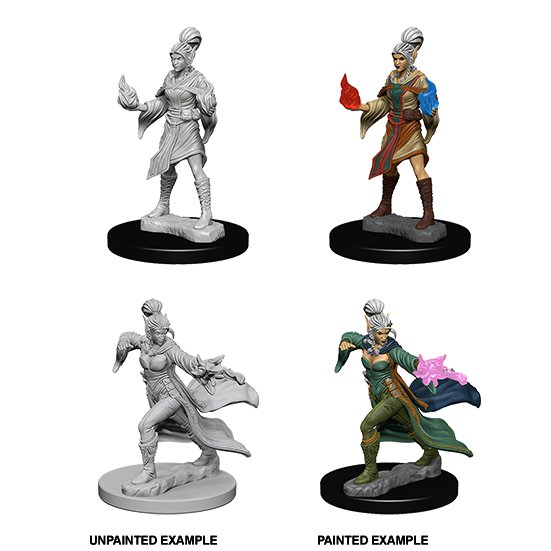 Pathfinder Deep Cuts Unpainted Minis: Elf Female Sorcerer - WAVE 1 - 634482726068 - CrystalLotus.eu