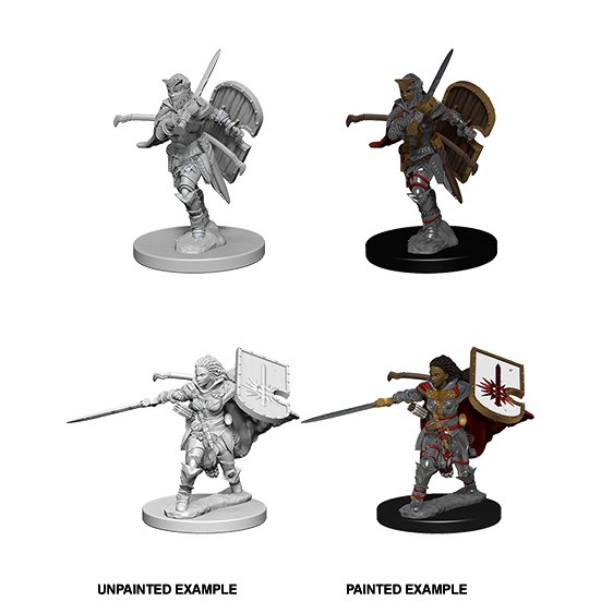 Pathfinder Deep Cuts Unpainted Minis: Human Female Paladin - WAVE 1 - 634482726075 - CrystalLotus.eu