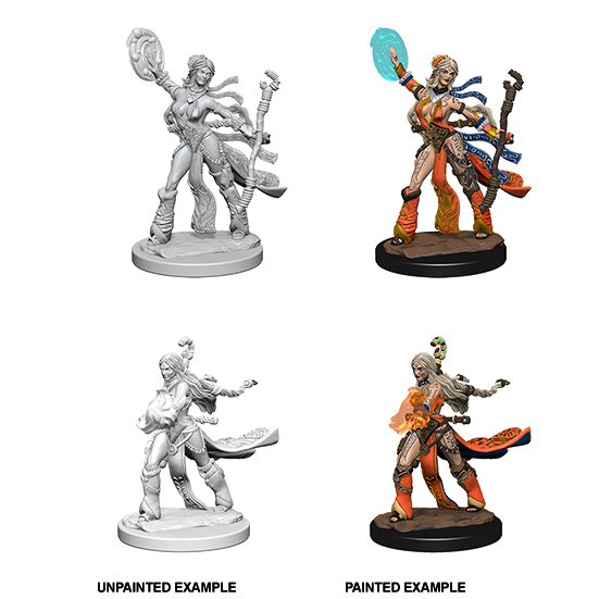 Pathfinder Deep Cuts Unpainted Minis: Human Female Sorcerer - WAVE 1 - 634482726044 - CrystalLotus.eu