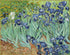 Piatnik (5331) - Vincent van Gogh: "Iris" - 1000 pieces puzzle - 9001890533167 - CrystalLotus.eu