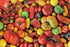 Piatnik (536946) - "All kinds of tomatoes!" - 1000 pieces puzzle - 9001890536946 - CrystalLotus.eu