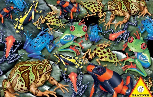 Piatnik (555244) - &quot;Big Frogs&quot; - 1000 pieces puzzle - 9001890555244 - CrystalLotus.eu