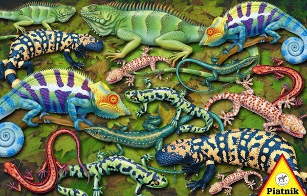 Piatnik (555343) - &quot;Salamander&quot; - 1000 pieces puzzle - 9001890555343 - CrystalLotus.eu