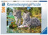 Ravensburger (14793) White Tigers 500 piece Jigsaw Puzzle - 4005556147939 - CrystalLotus.eu