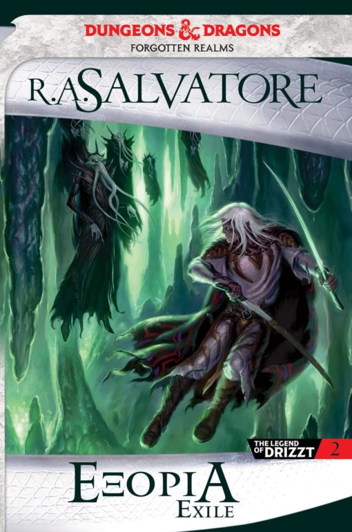 The Legend of Drizzt 