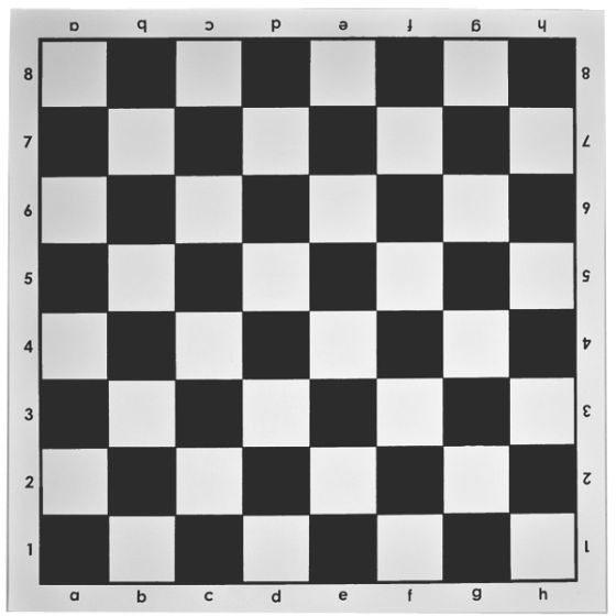 Vinyl Portable Chess Board (Black &amp; White) (51cm x 51cm) - 9202104990066 - Crystal Lotus